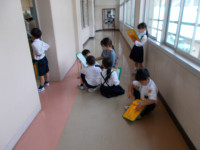 DSCN2907