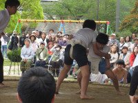 IMG_2798