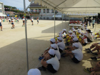 IMG_2010